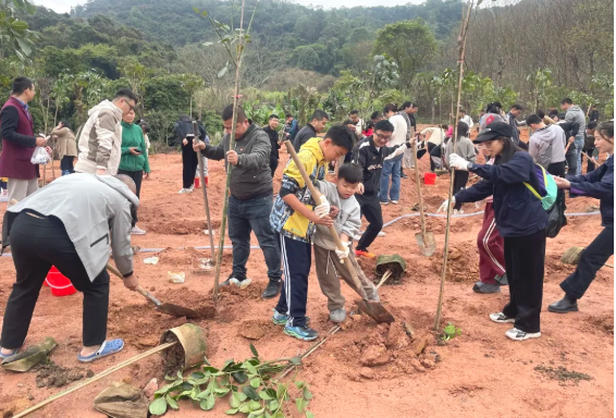 植树造林，，，J9集团责任与继续！